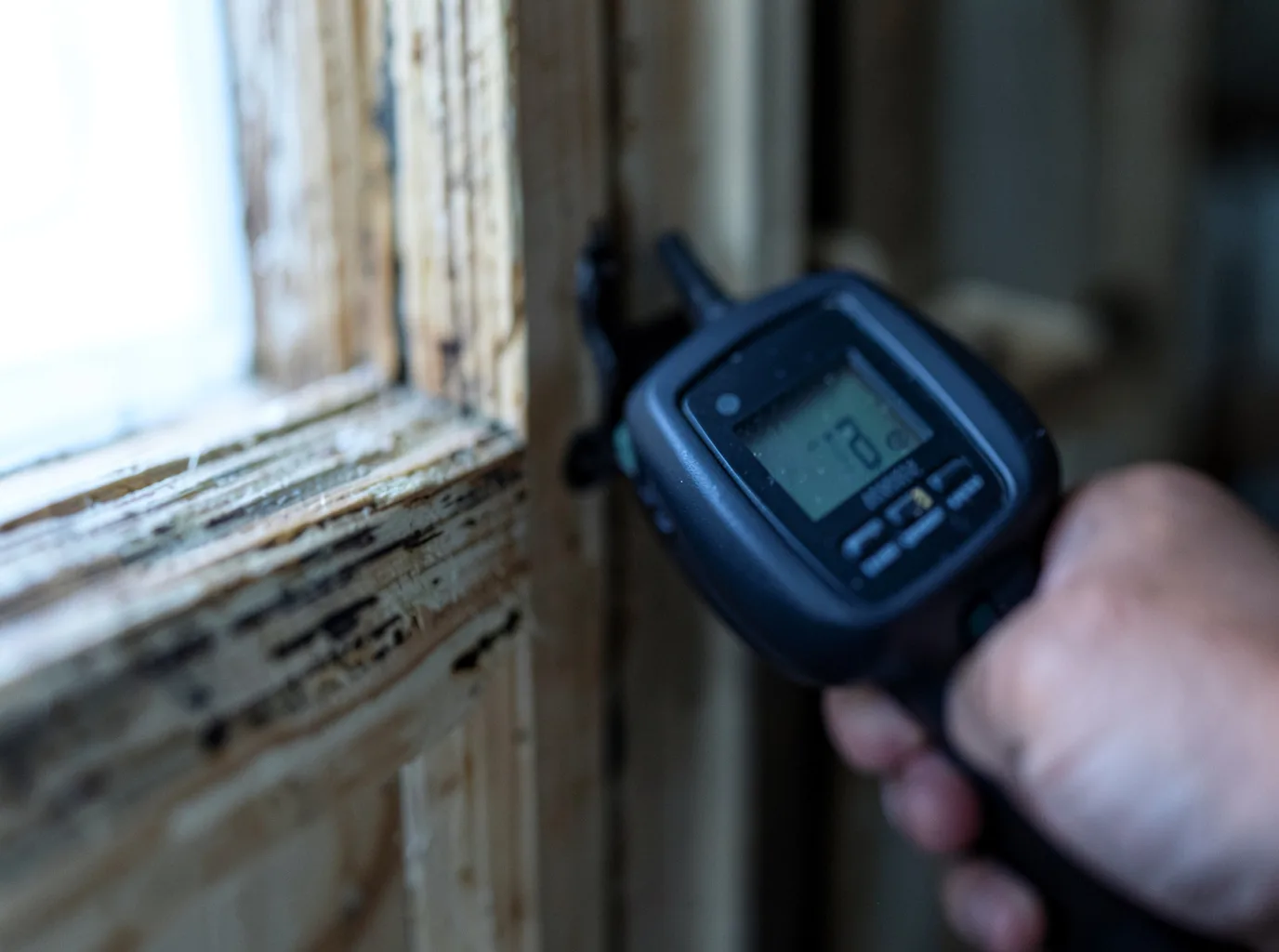 Ceiling Water Damage Repair in Pine Island, MN